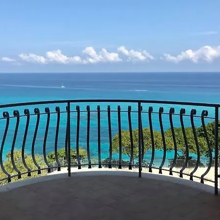 Bonsai * Tropea
