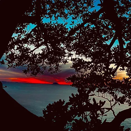 Bonsai Hotel Tropea