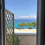 Bonsai *