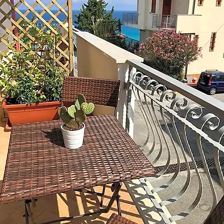Bonsai * Tropea